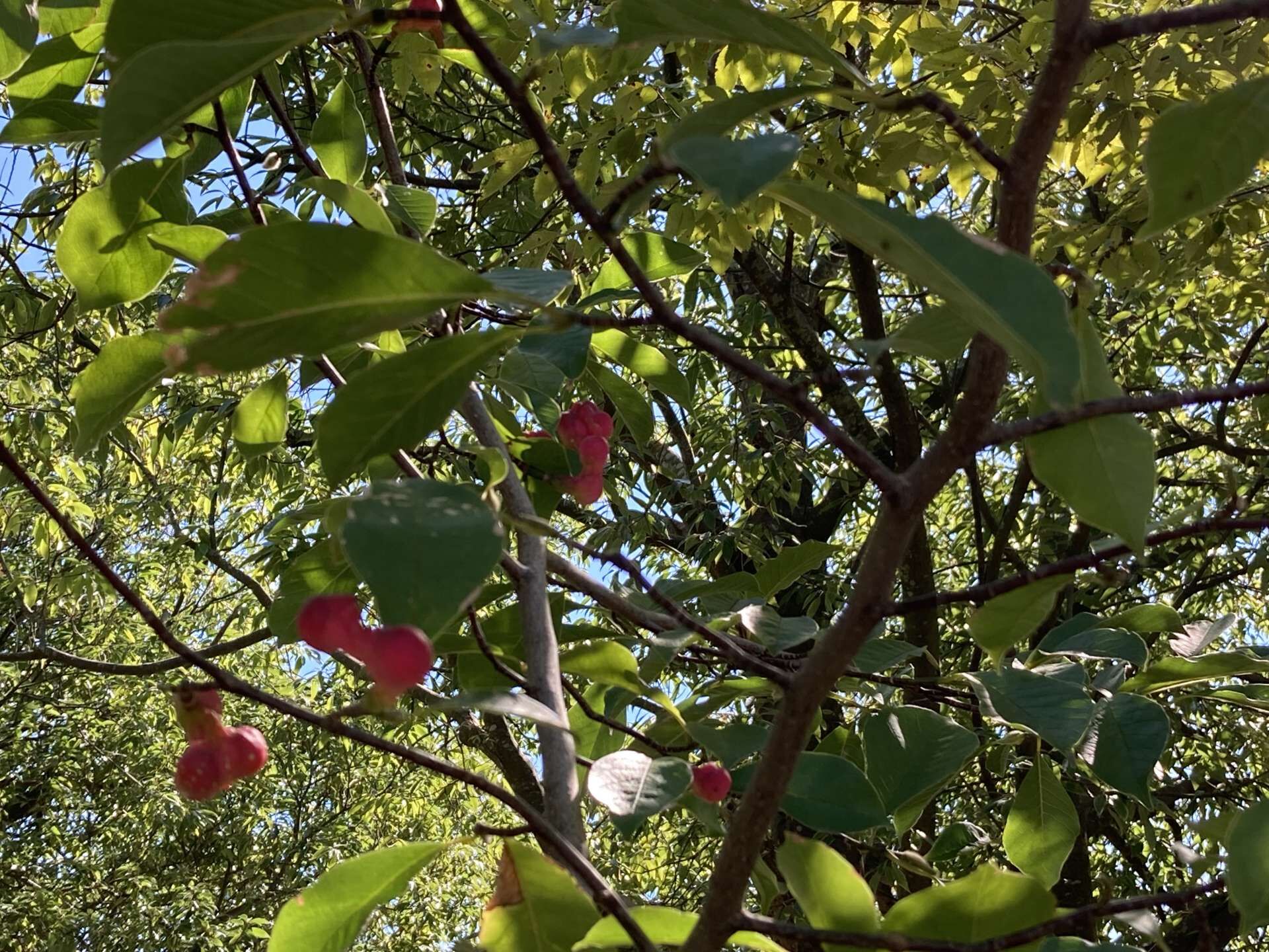 ぽっかり空いた穴