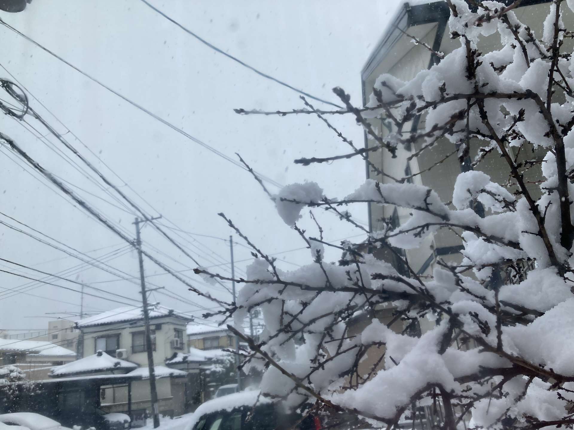 いい父親ぶるのはやめて