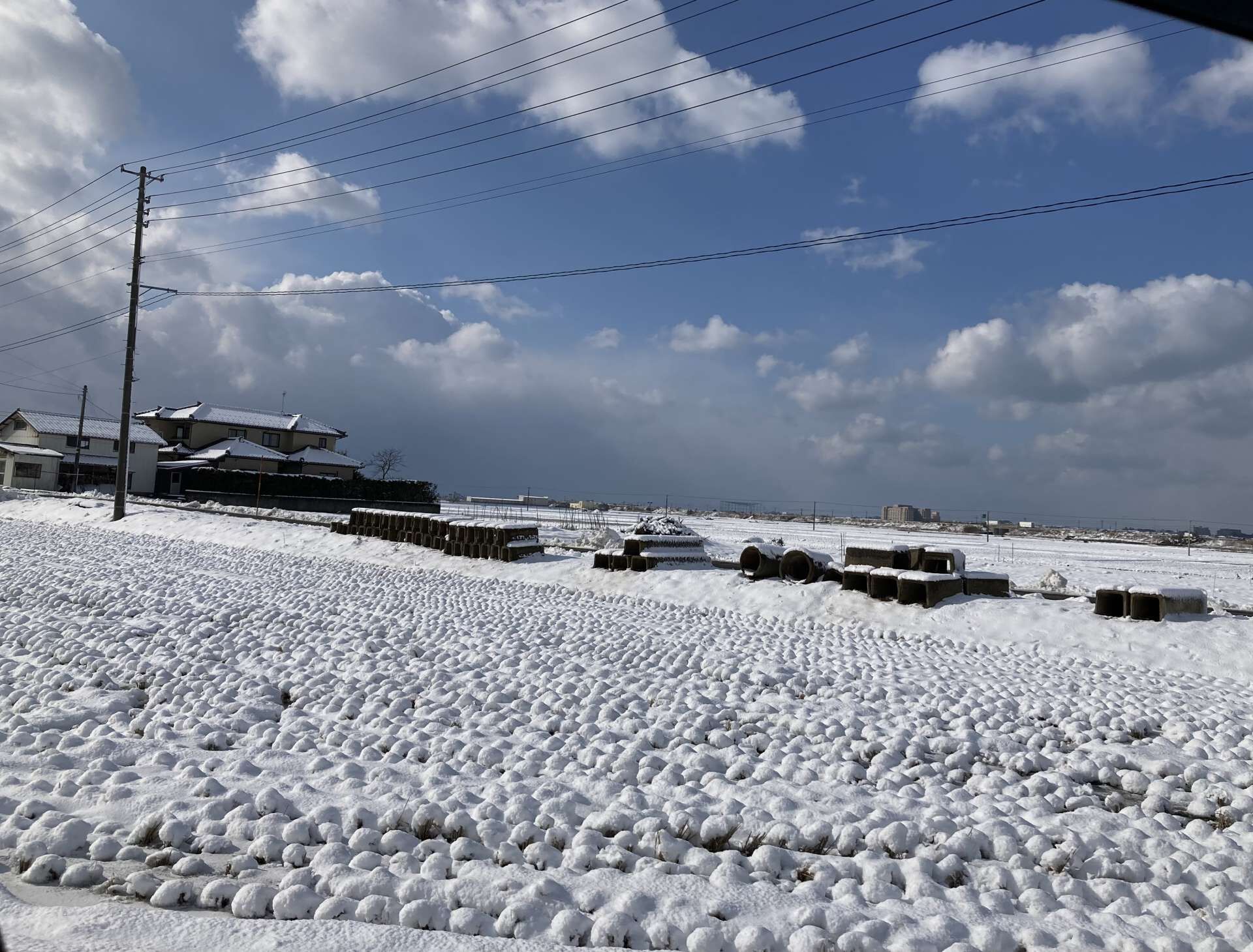 雪ですね