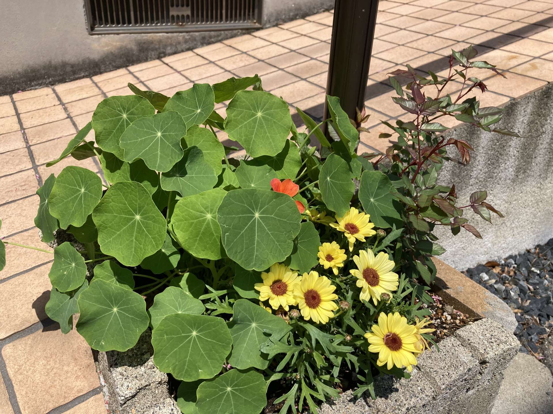 境界線