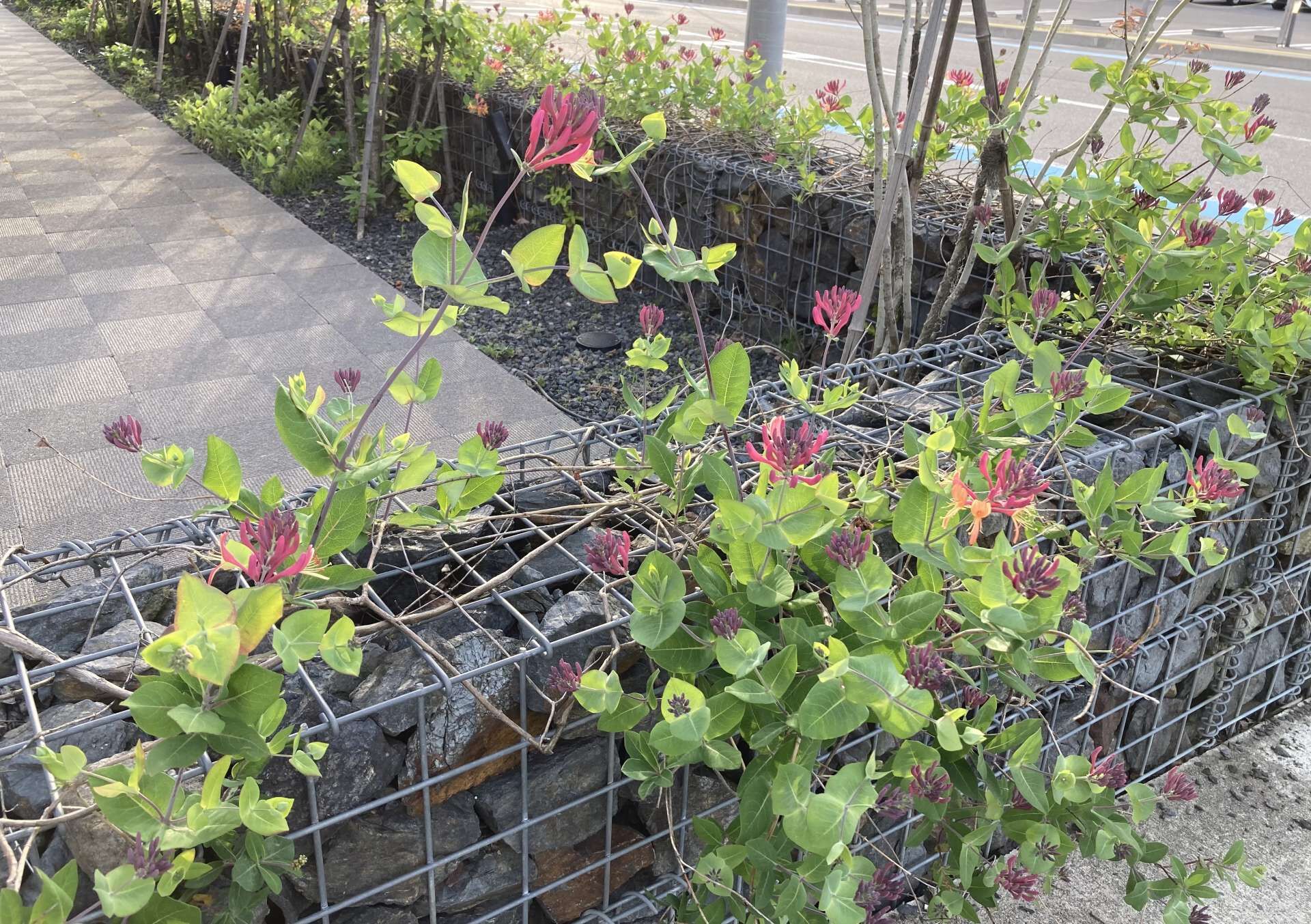 思ってたのと違う