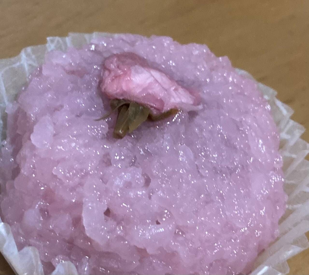 子に関心を持つ