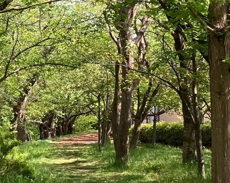 次のステップへ