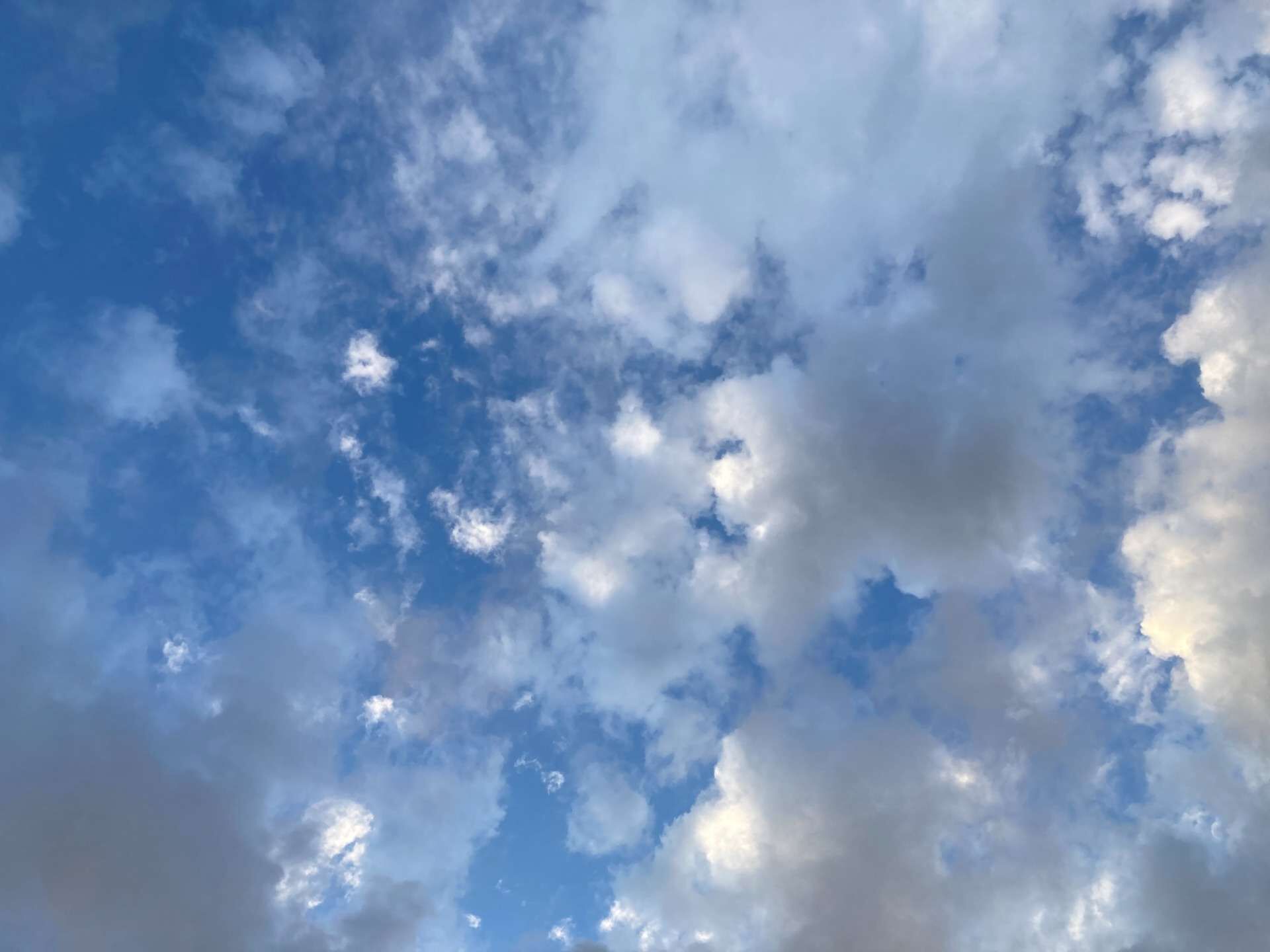 よく見る夢