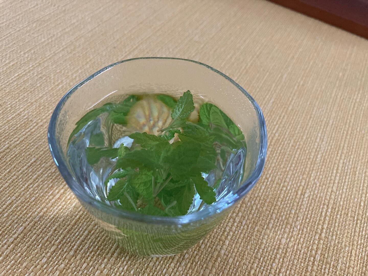 新緑の季節がやってきましたね🌿！新潟市は雨が上がり、青空が広